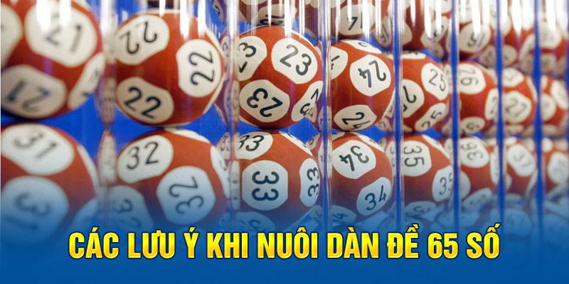 Các lưu ý khi nuôi dàn đề 65 số